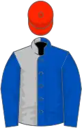 Royal blue and silver (halved), royal blue sleeves, scarlet cap