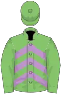 Light green, mauve chevrons, light green sleeves and cap