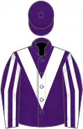 Purple, white chevron, striped sleeves