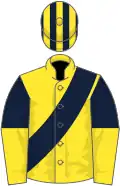 Yellow, dark blue sash, dark blue and yellow halved sleeves, striped cap