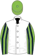 White, light green and dark blue striped sleeves, green cap