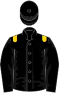 Black, gold epaulets