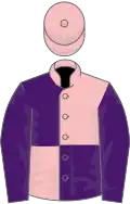 Pink and purple (quartered), purple sleeves, pink cap