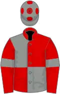 Red and grey (quartered), red sleeves, grey armlets, grey cap, red spots