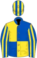 Royal blue and yellow (quartered), striped sleeves and cap