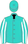 Turquoise, white striped sleeves