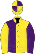 Yellow and purple (halved), reversed sleeves, quartered cap