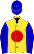 Yellow, red disc, blue sleeves and cap