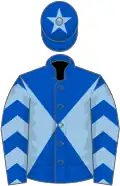 ROYAL BLUE and LIGHT BLUE diabolo, chevrons on sleeves, ROYAL BLUE cap, LIGHT BLUE star
