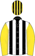 Black and white stripes, yellow sleeves, black and yellow striped cap