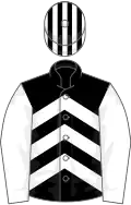 BLACK and WHITE CHEVRONS, white sleeves, striped cap