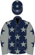 Dark blue, grey stars, grey sleeves, dark blue stars
