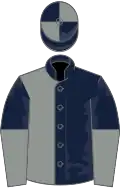 Dark blue and grey (halved), halved sleeves, quartered cap