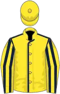 Yellow, dark blue seams, striped sleeves, yellow cap
