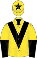Yellow, Black chevron, Yellow and Black halved sleeves, Yellow cap, Black star