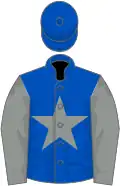 Blue, grey star, grey sleeves, blue cap