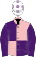 Pink and purple (quartered), purple sleeves, white cap, mauve spots
