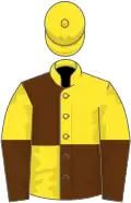 Yellow and brown (quartered), halved sleeves, yellow cap