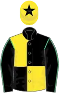 Black and yellow quartered, black sleeves, emerald green seams, yellow cap, black star
