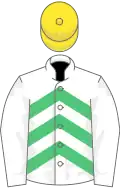 White and emerald green chevrons, white sleeves, yellow cap
