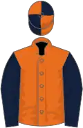 Orange, dark blue sleeves, quartered cap