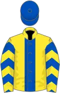 Yellow, royal blue stripe, royal blue and yellow chevrons on sleeves, royal blue cap