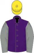 Purple, grey sleeves, yellow cap
