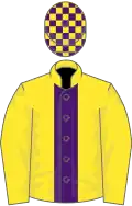 Yellow, Purple stripe, Yellow sleeves, Check cap