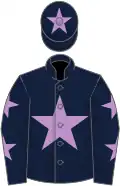 Dark Blue, Mauve star, Dark Blue sleeves, Mauve stars, Dark Blue cap, Mauve star