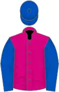 Cerise, royal blue sleeves and cap