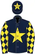 Dark blue, yellow star, diamonds on sleeves, dark blue cap, yellow star