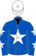 Royal blue, white star, royal blue sleeves, white stars, white cap