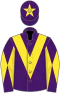 Purple, yellow chevron, diabolo on sleeves and star on cap