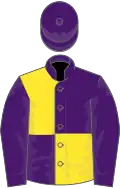Purple and yellow quartered, purple sleeves, purple cap