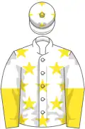 White, yellow stars, halved sleeves and stars on cap