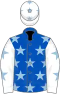 Royal blue, light blue stars, white sleeves, light blue stars and stars on cap