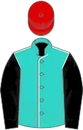 Turquoise, white seams, black sleeves, red cap