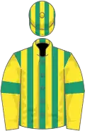 Emerald green and yellow stripes, yellow sleeves, emerald green armlets