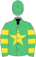 Emerald green, yellow star, hooped sleeves