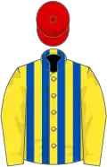 Yellow and royal blue stripes, yellow sleeves, red cap