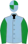 Light blue, green sleeves, quartered cap