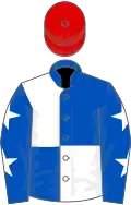 Royal Blue and White (quartered), Royal Blue sleeves, White stars, Red cap