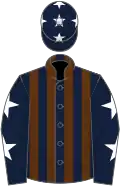 Dark blue and brown stripes, dark blue sleeves, white stars and cap