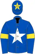 Royal blue, white star, royal blue sleeves, yellow armlets and star on royal blue cap