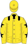 Yellow, black epaulets, yellow sleeves, black stars