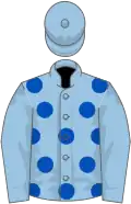 Light blue, royal blue spots on body