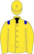 Yellow, blue epaulets