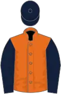 Orange, dark blue sleeves, dark blue cap