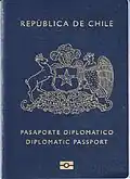 Diplomatic passport (2013-2024)