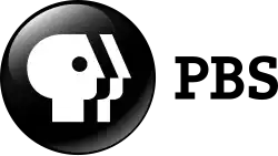 PBS logo from 2009 to 2019